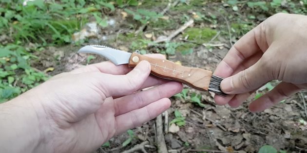 Как правильно собирать грибы. Щёткой на специальном ноже удобно очищать грибы от мусора и грязи