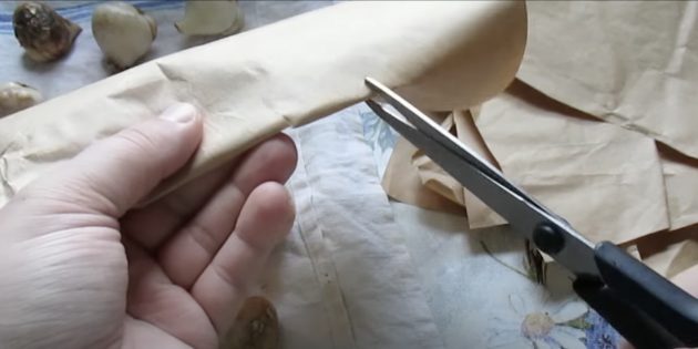 Как хранить луковицы тюльпанов: на листе сделайте небольшие надрезы ножницами на расстоянии 2–3 см друг от друга
