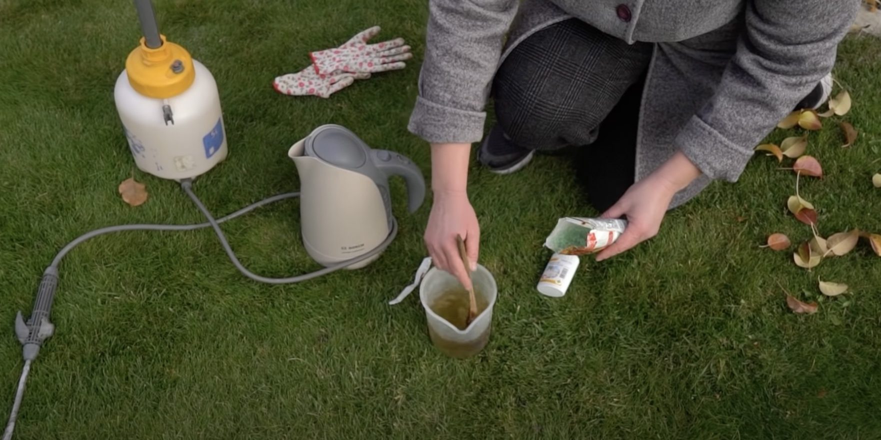 Процесс опрыскивания дерева