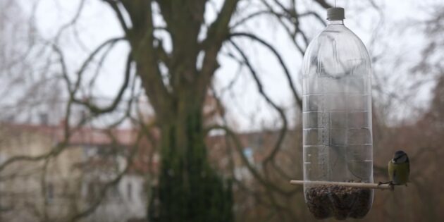 Простая кормушка для птиц из пластиковой бутылки своими руками