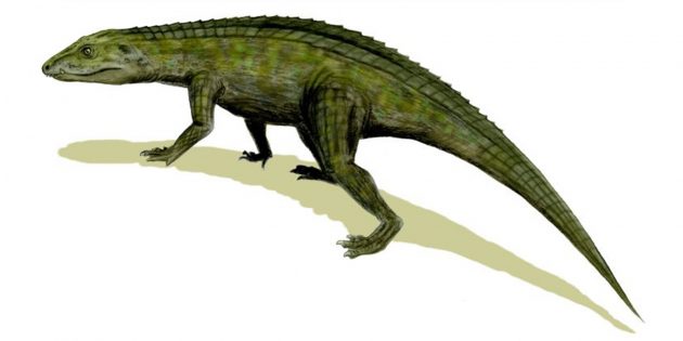 Крокодилы не являются потомками динозавров