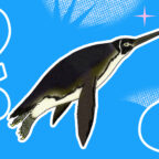 Знаете ли вы, как выглядели предки пингвинов?