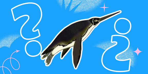 Знаете ли вы, как выглядели предки пингвинов?