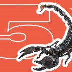 5 фактов о скорпионах, которые вас явно удивят