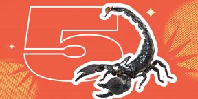 5 фактов о скорпионах, которые вас явно удивят