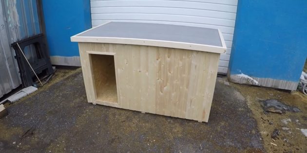 Как сделать будку для собаки с плоской крышей, тамбуром и утеплением своими руками