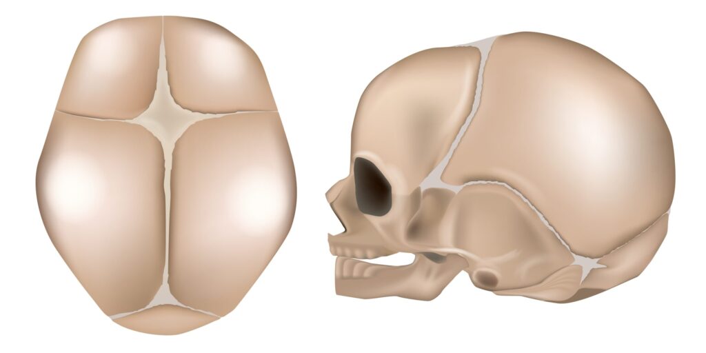 Когда зарастает родничок у ребёнка — Лайфхакер