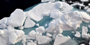 Подо льдами Антарктиды обнаружили цветущий фитопланктон