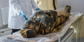 Судмедэксперты воссоздали лицо «Таинственной дамы» — мумии возрастом 2000 лет