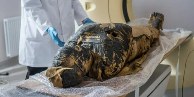 Судмедэксперты воссоздали лицо «Таинственной дамы» — мумии возрастом 2 000 лет