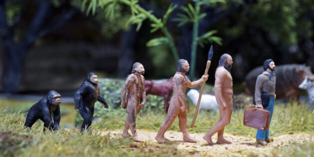 «Выживает сильнейший»: 10 самых известных мифов об эволюции