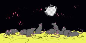 Мышиный рай: как идеальные условия жизни привели к вымиранию и может ли это случиться с нами