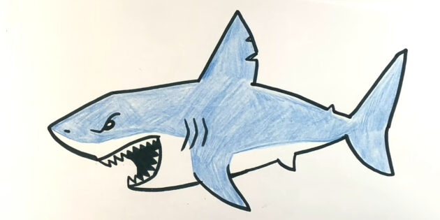 Как нарисовать мультяшную акулу мегалодона: раскрасьте корпус
