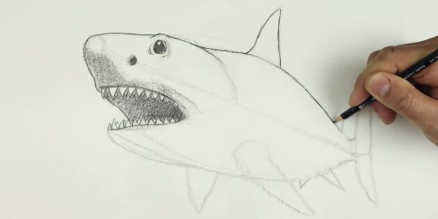 Как нарисовать реалистичную акулу мегалодона: обведите спину