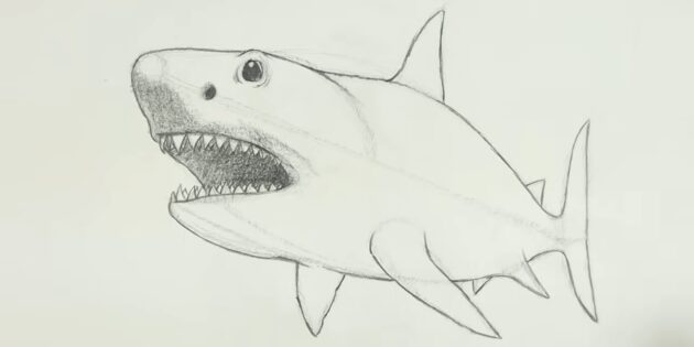 Как нарисовать реалистичную акулу мегалодона: заштрихуйте брюхо