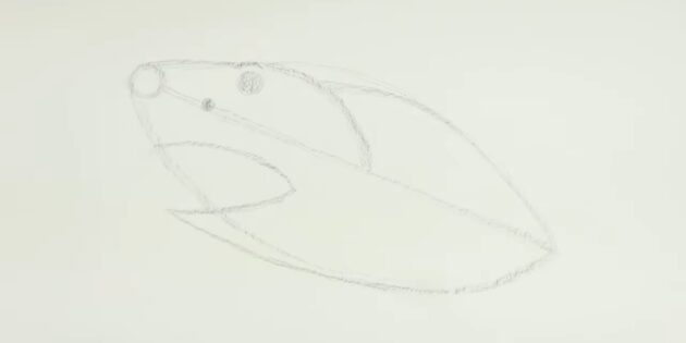Как нарисовать реалистичную акулу мегалодона: нарисуйте изогнутую линию