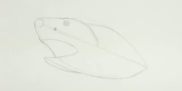 Как нарисовать реалистичную акулу мегалодона: порисуйте пасть