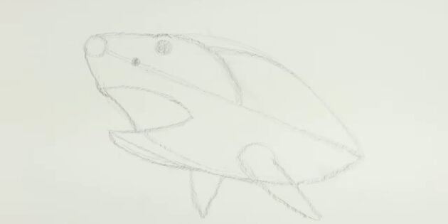 Как нарисовать реалистичную акулу мегалодона: нарисуйте плавники