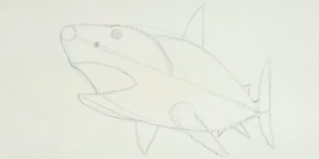 Как нарисовать реалистичную акулу мегалодона: нарисуйте дополнительные плавники