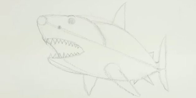 Как нарисовать реалистичную акулу мегалодона: нарисуйте зубы