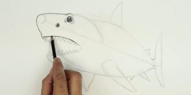 Как нарисовать реалистичную акулу мегалодона: прорисуйте морду