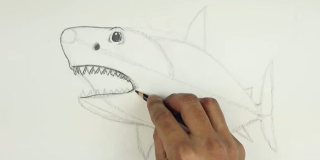 Как нарисовать реалистичную акулу мегалодона: добавьте ещё ряд зубов