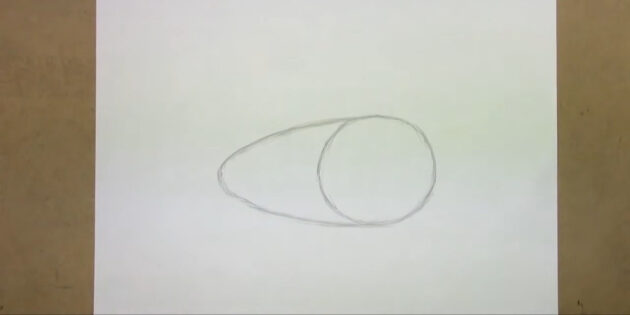 Как нарисовать реалистичную утку простым карандашом: нарисуйте заднюю часть утки