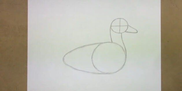 Как нарисовать реалистичную утку простым карандашом: нарисуйте шею