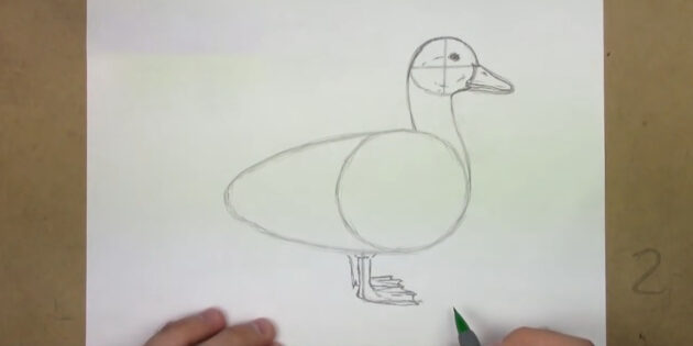 Как нарисовать реалистичную утку простым карандашом: добавьте вторую ногу
