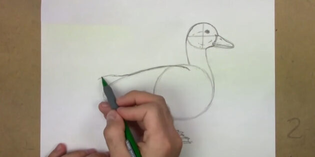 Как нарисовать реалистичную утку простым карандашом: начните рисовать крыло