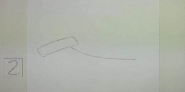 Как нарисовать реалистичную молотоголовую акулу: проведите изогнутую линию