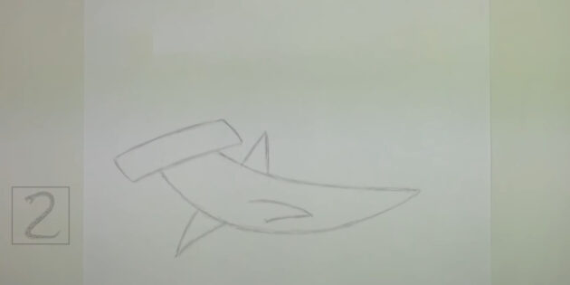 Как нарисовать реалистичную молотоголовую акулу: нарисуйте спинной плавник