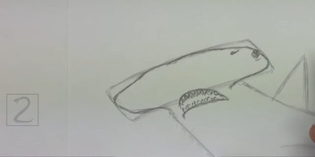 Как нарисовать реалистичную молотоголовую акулу: нарисуйте ноздрю