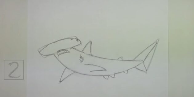 Как нарисовать реалистичную молотоголовую акулу: прорисуйте хвостовой плавник