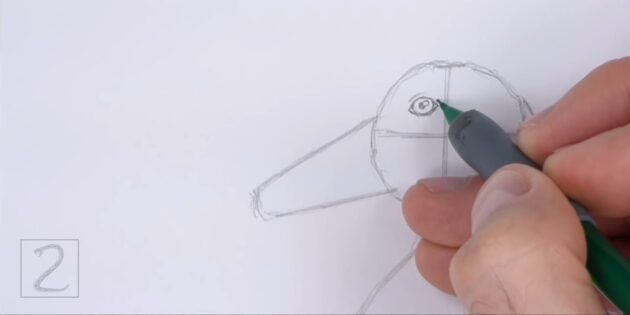 Как нарисовать реалистичную утку цветными карандашами: нарисуйте глаз
