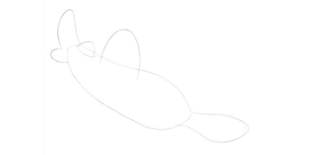 Как нарисовать мультяшную пилоносую акулу: нарисуйте нижнюю часть хвостового плавника