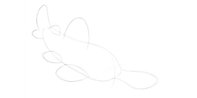 Как нарисовать мультяшную пилоносую акулу: нарисуйте пересекающиеся линии