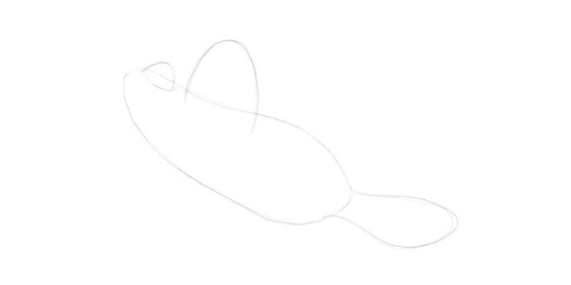 Как нарисовать мультяшную пилоносую акулу: нарисуйте ещё один плавник
