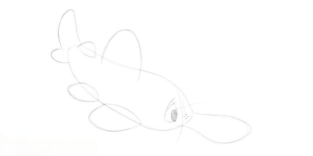 Как нарисовать мультяшную пилоносую акулу: закрасьте глаз