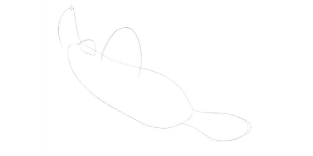 Как нарисовать мультяшную пилоносую акулу: нарисуйте хвостовой плавник