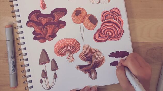 Рисунок цветных грибов для срисовки