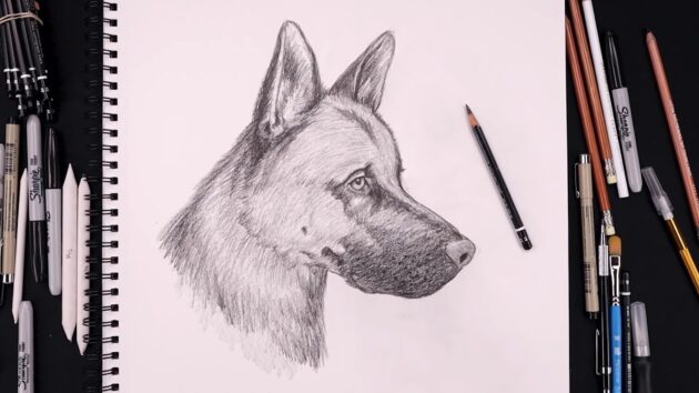 Рисунок собаки для срисовки