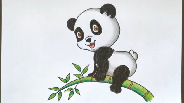 Рисунок панды для срисовки
