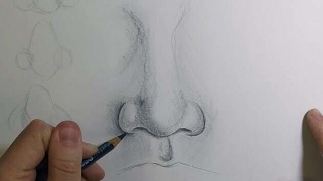Как нарисовать нос анфас: затените левую часть рисунка