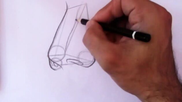 Как нарисовать нос, расположенный вполоборота: Нарисуйте правую сторону переносицы