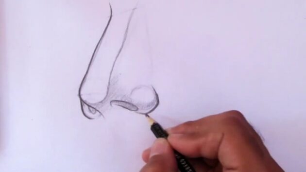 Как нарисовать нос, расположенный вполоборота: Закрасьте ноздри