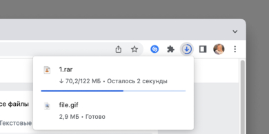 chrome менеджер загрузок