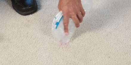 Как очистить ковер в домашних условиях: эффективные и просты способы