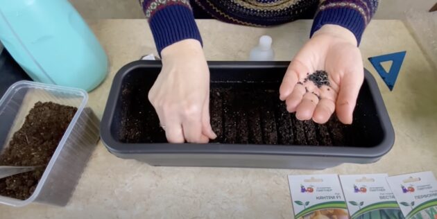 Как сажать лук семенами на рассаду: Разложите семена лука в бороздки на расстоянии в 1 см друг от друга