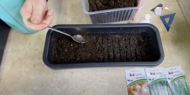 Как сажать лук семенами на рассаду: Сверху присыпьте семена грунтом